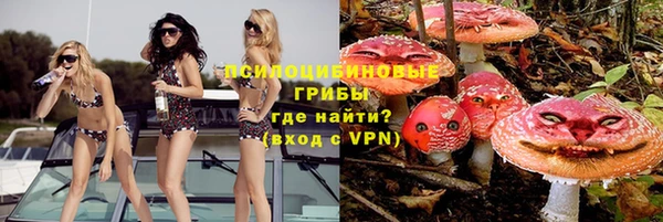 МДПВ Алзамай