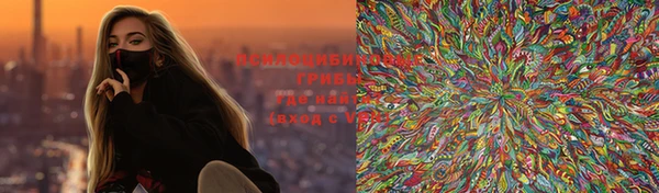 МДПВ Алзамай