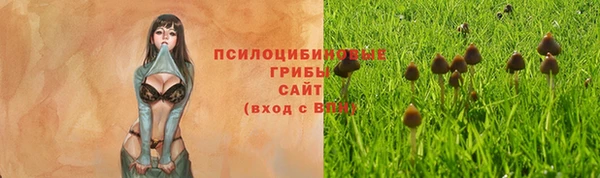 МДПВ Алзамай