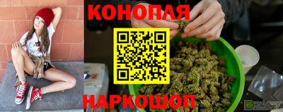 сатива Краснознаменск
