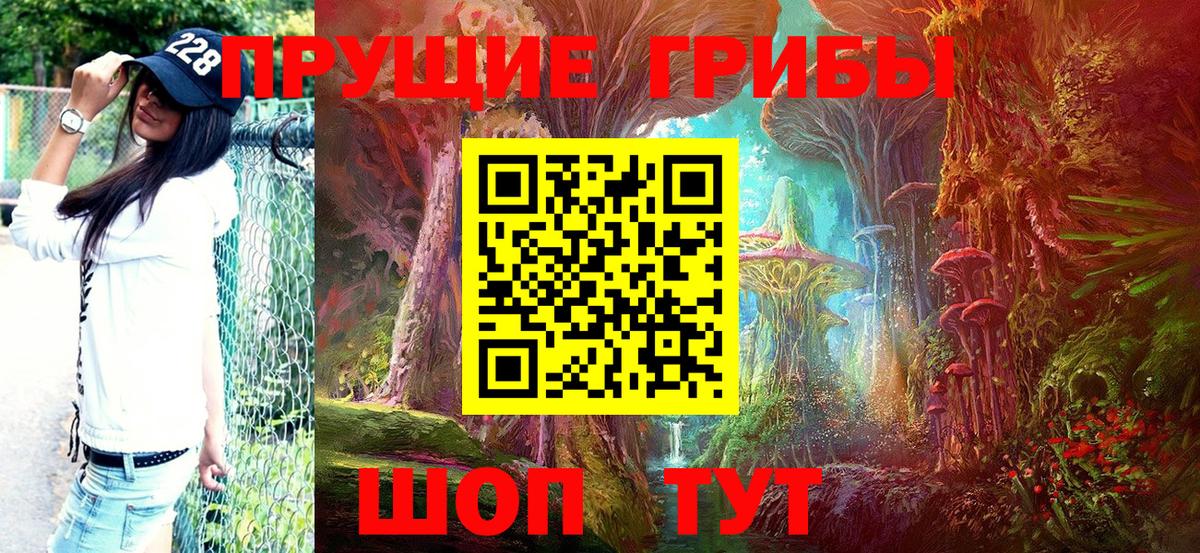 Псилоцибиновые грибы Psilocybine cubensis Изобильный